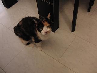 c0201113_2049940.jpg
