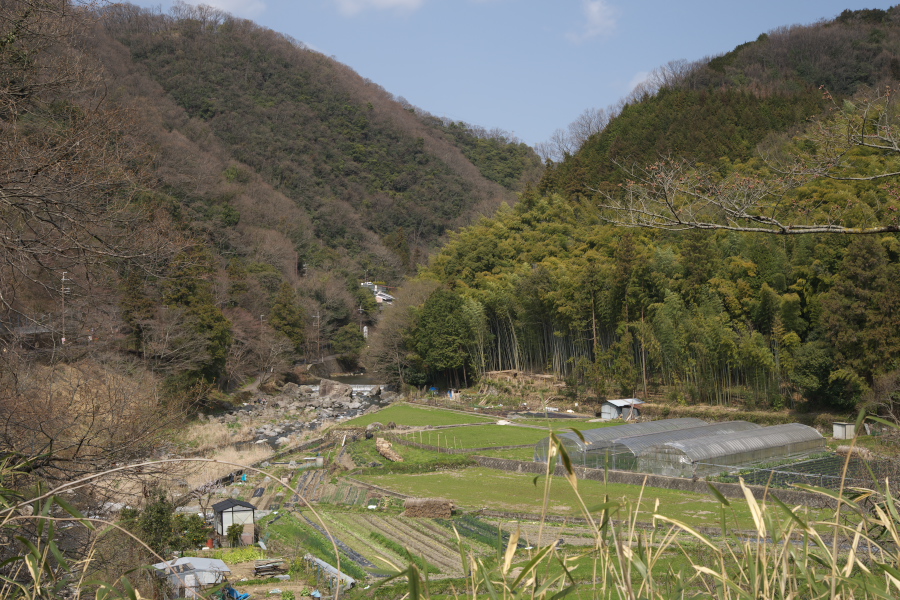 a0140914_2224057.jpg