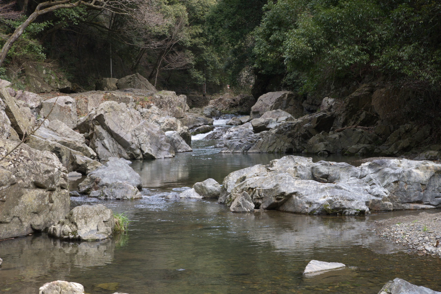 a0140914_224529.jpg