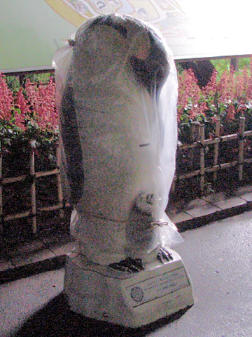 09082101.jpg