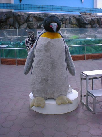 巨大ペンギンぬいぐるみ
