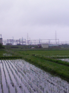 080530-095312.jpg