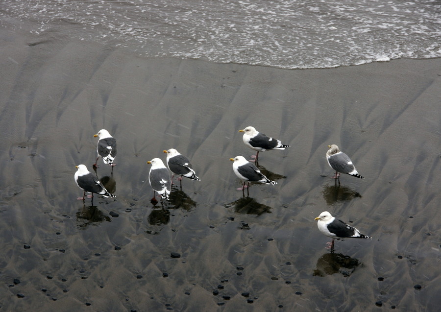 f0213818_0135873.jpg