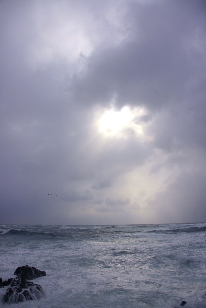 f0213818_1215940.jpg