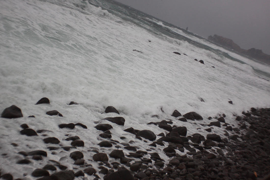 f0213818_193741.jpg