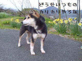 e0172419_23553742.jpg