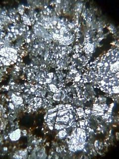 b0069720_8114131.jpg