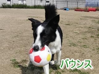 e0179321_19182359.jpg