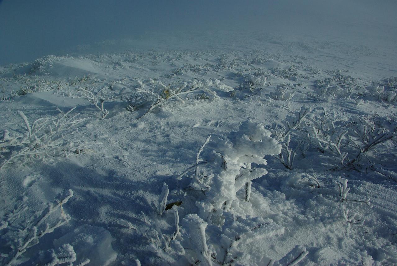 b0062024_20554866.jpg