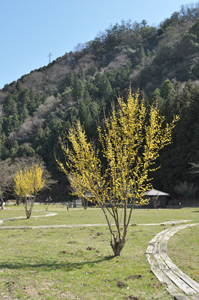 d0065928_21462168.jpg
