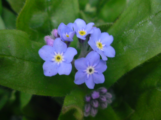 e0016828_10561241.jpg
