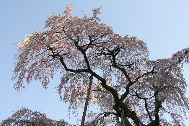 e0064133_1927311.jpg