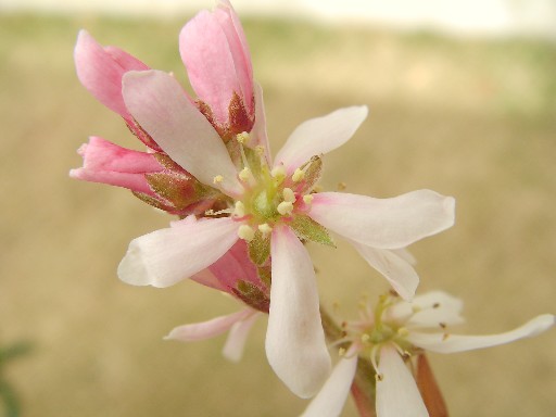 f0002833_19211285.jpg