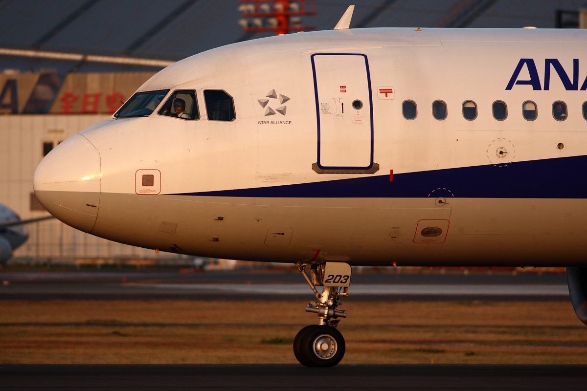 c0169436_164289.jpg