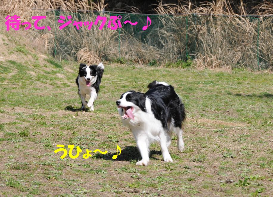 c0147241_11413441.jpg