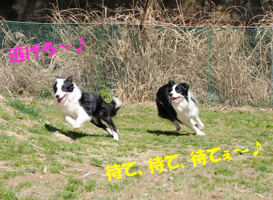 c0147241_11414149.jpg