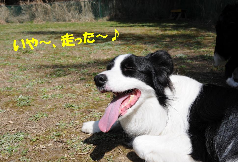 c0147241_11421064.jpg