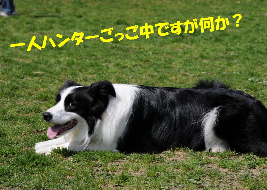c0147241_11423442.jpg