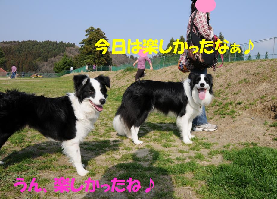 c0147241_11432433.jpg