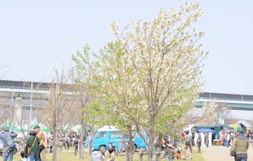 b0187042_17173641.jpg