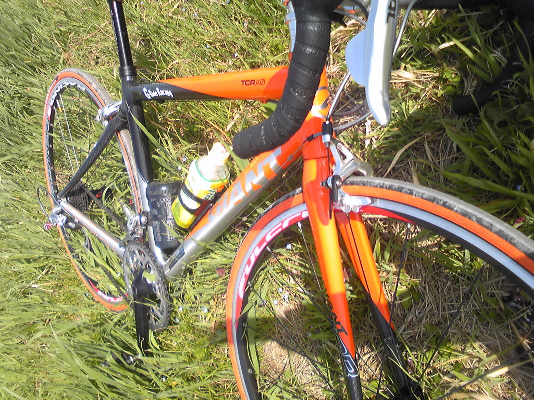 c0170945_23431792.jpg