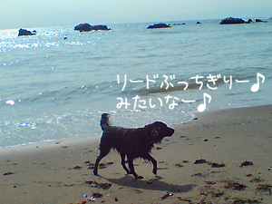 f0095047_18411121.jpg