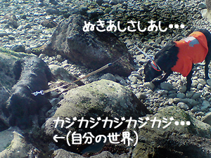 f0095047_18415156.jpg