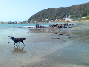 f0095047_18425383.jpg