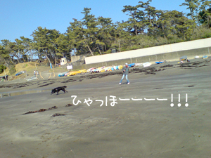 f0095047_1843678.jpg