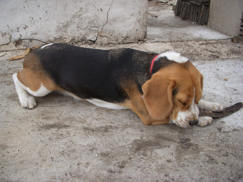 b0069848_6395370.jpg