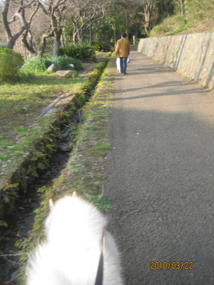 e0121548_2025473.jpg