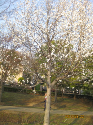 e0121548_2042223.jpg