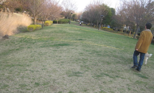 e0121548_2072870.jpg