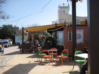 a0052952_1750298.jpg