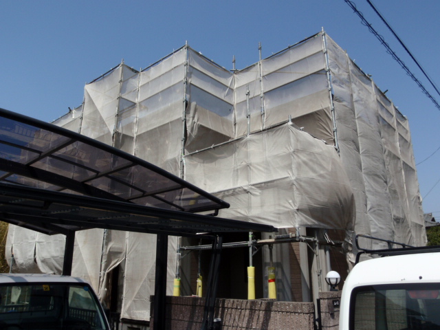 b0071653_20421731.jpg