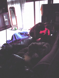 e0066062_023688.jpg