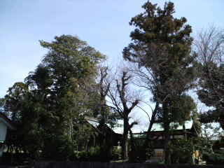 b0178466_2024826.jpg