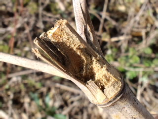 b0178466_2051161.jpg