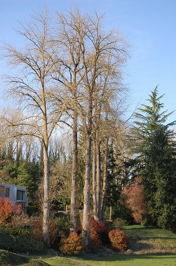 e0128367_11324549.jpg