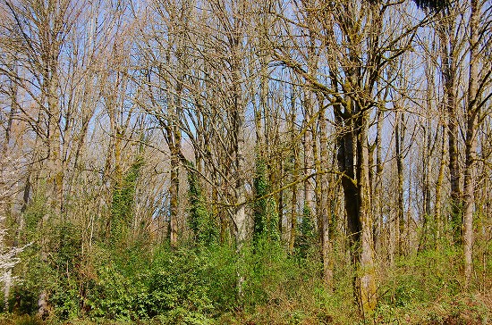 e0128367_11334823.jpg