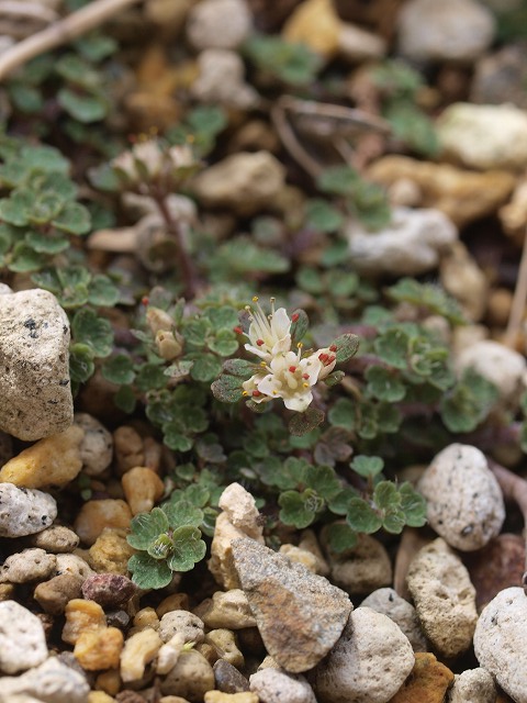 d0025568_5412249.jpg