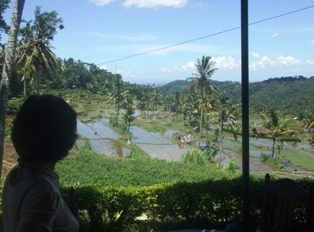 d0083068_8545410.jpg