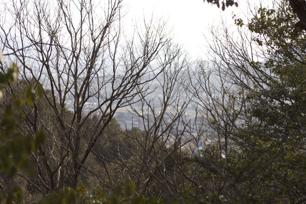 c0163369_11351462.jpg