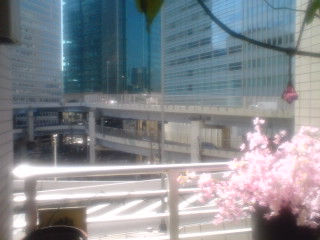 f0207969_947544.jpg