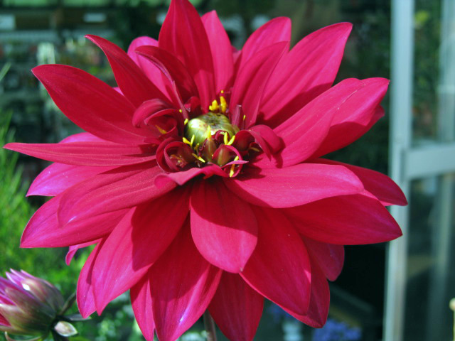 f0177670_19275361.jpg