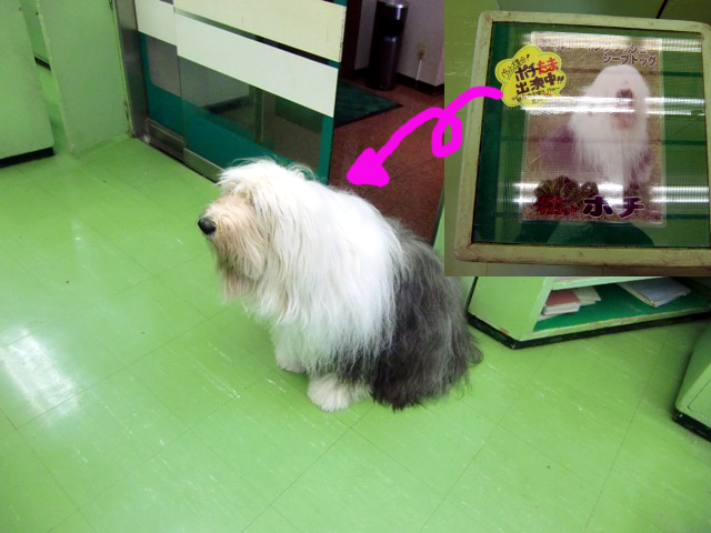 b0060071_23441435.jpg