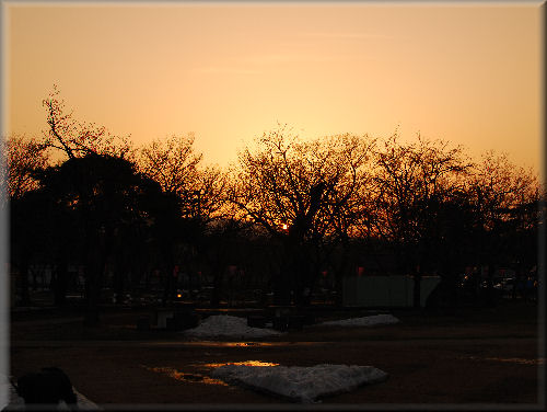 e0099375_20274080.jpg