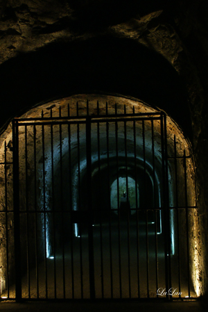 d0141376_20104327.jpg