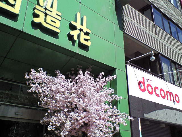 f0045776_10173672.jpg