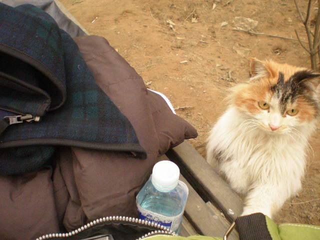 f0007580_2372934.jpg